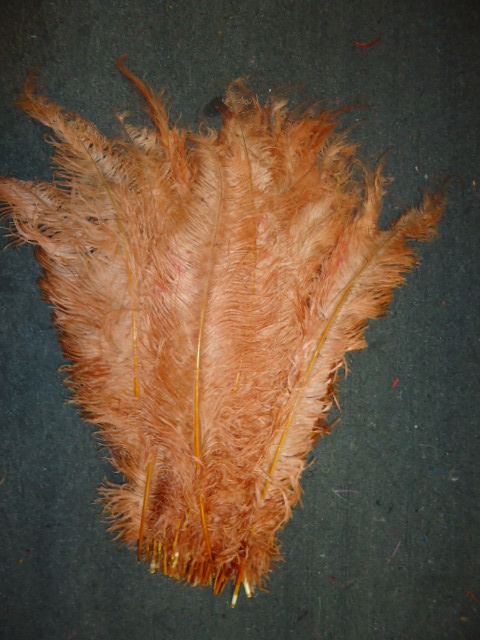 Ostrich Feather Plume 18-24 INCH DARK PEACH